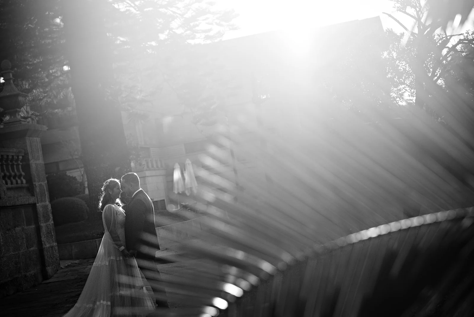 Novios a contraluz en el jardín de un pazo, entre rayos de sol y hojas desenfocadas, en blanco y negro.